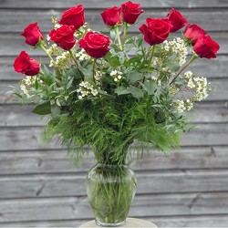 Red Roses from your Sebring, Florida florist