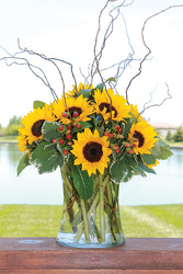 Classy Sunflowers from your Sebring, Florida florist