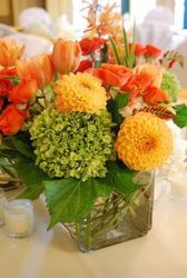 Organically grown from your Sebring, Florida florist