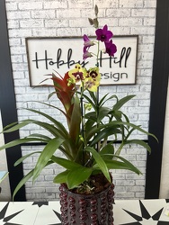 Orchid Garden from your Sebring, Florida florist